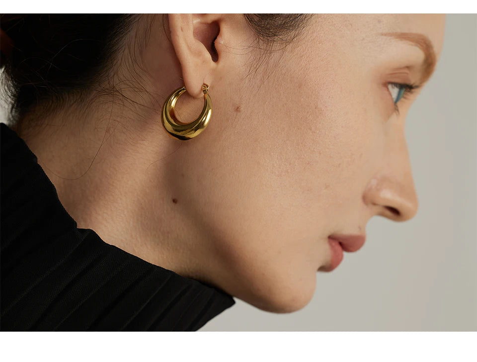 Stainless Steel Geometric Hoop Earrings