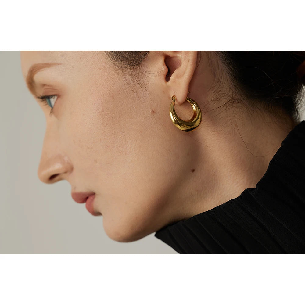 Stainless Steel Geometric Hoop Earrings